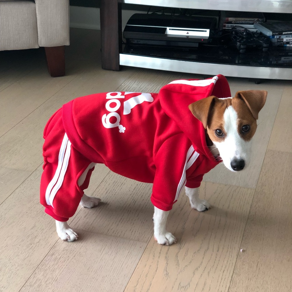Adidog 🐶 Tracksuit